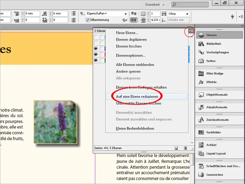 Die Ebenenfunktion in InDesign