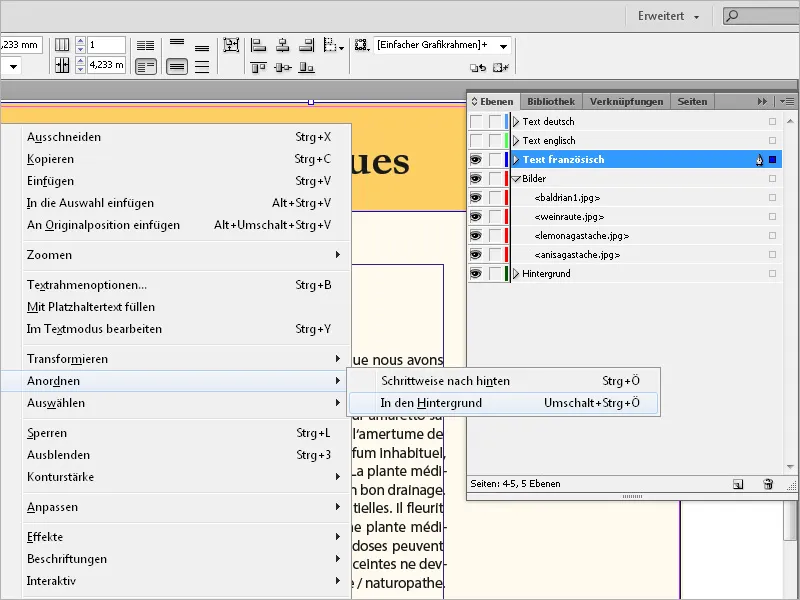 Die Ebenenfunktion in InDesign