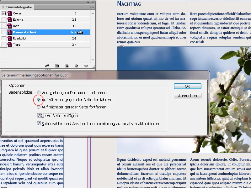 Bokfunktionen i InDesign