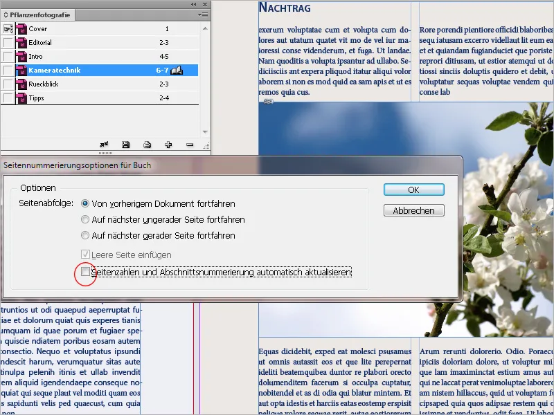 Funkcija knjige v programu InDesign