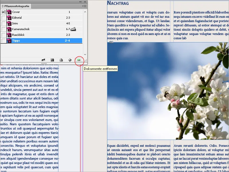 Funkcija knjige v programu InDesign