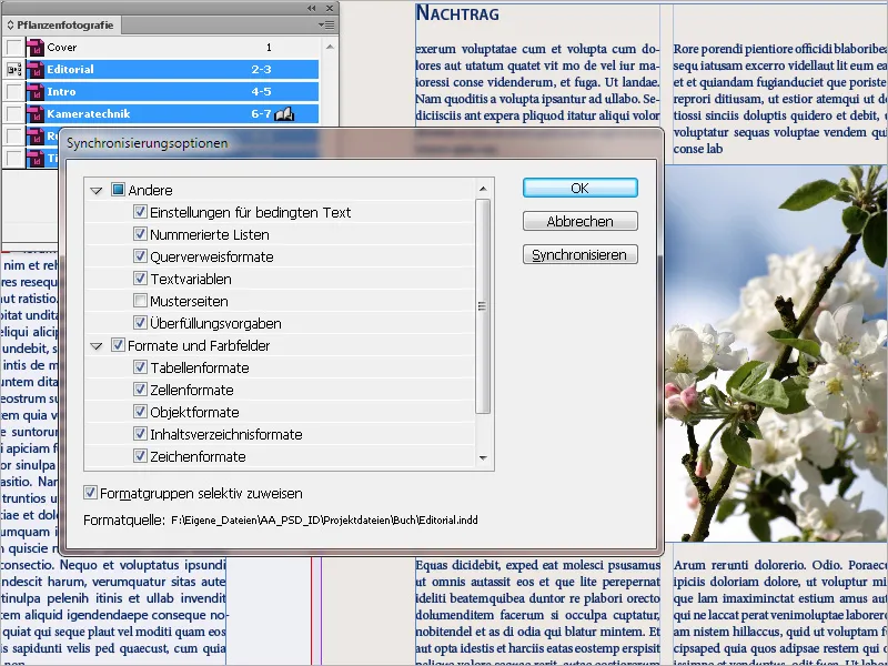 Bokfunktionen i InDesign