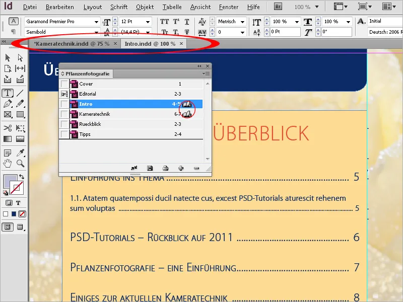 Die Buchfunktion in InDesign