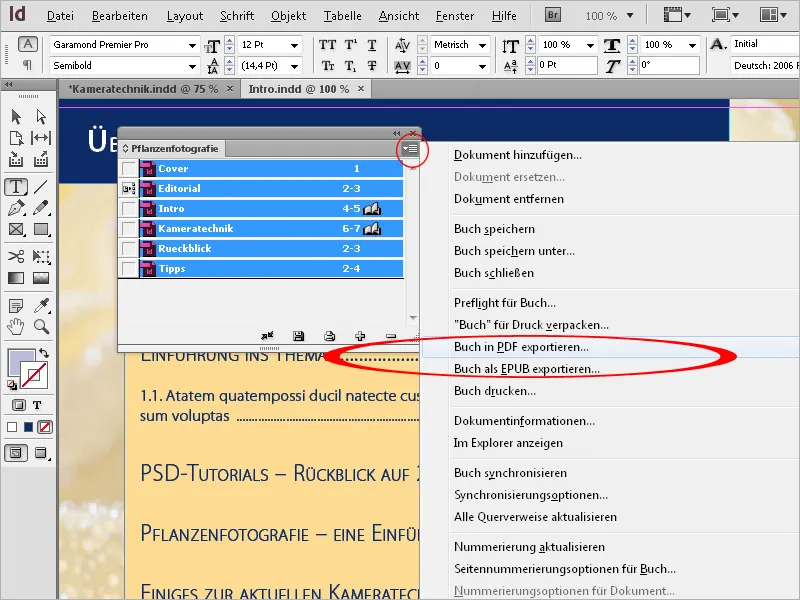 Grāmatas funkcija programmā InDesign