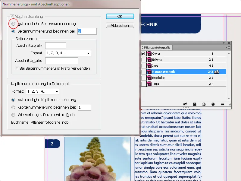Die Buchfunktion in InDesign