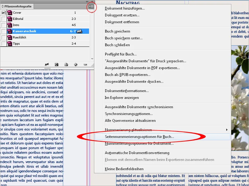 Die Buchfunktion in InDesign