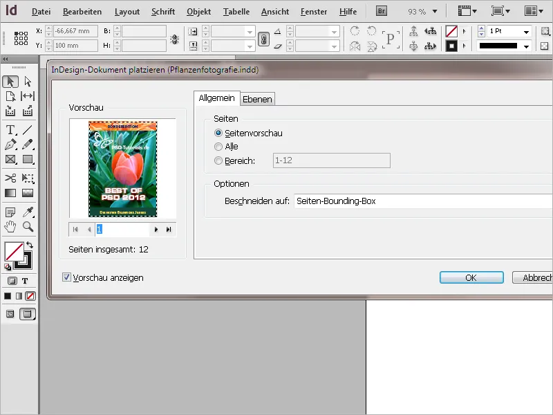 Arbeit mit Variablen und lebenden Kolumnentiteln in InDesign