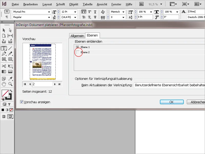 Arbeit mit Variablen und lebenden Kolumnentiteln in InDesign