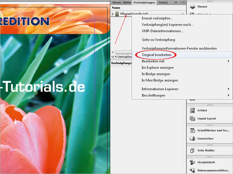 Arbeit mit Variablen und lebenden Kolumnentiteln in InDesign