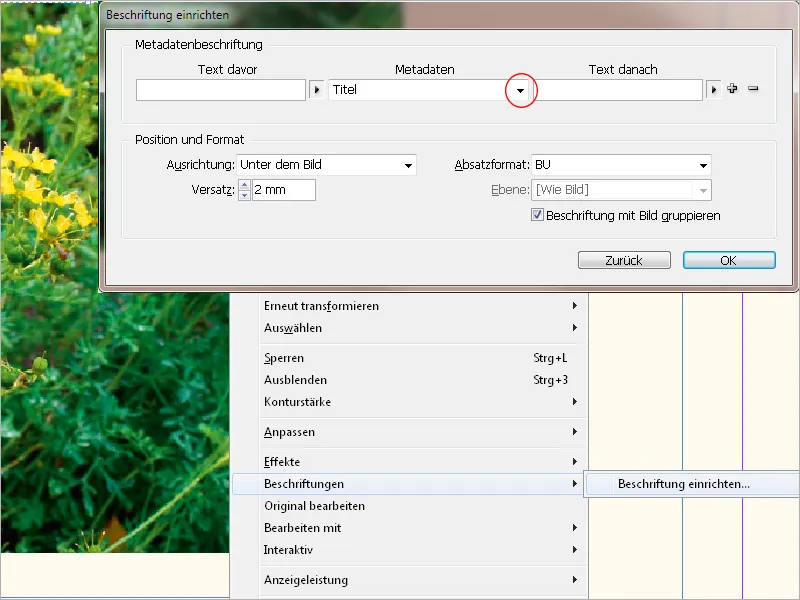 Bildunterschriften in InDesign