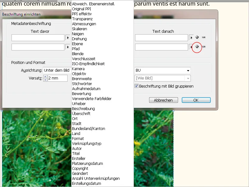 Bildunterschriften in InDesign