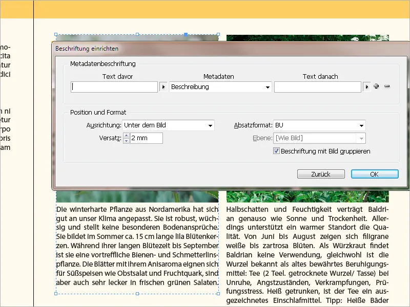 Bildunterschriften in InDesign