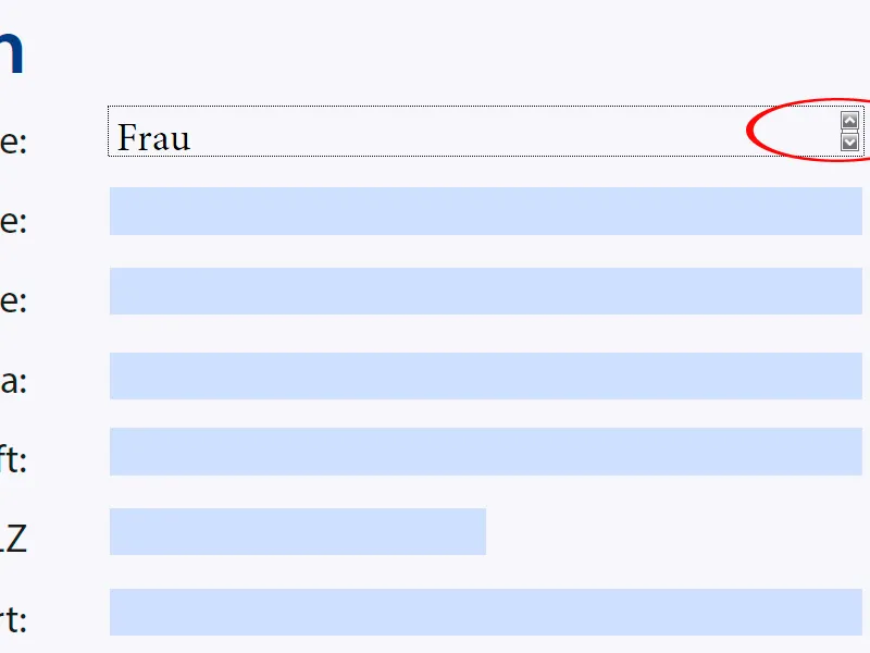 Vytvoření interaktivních formulářů v programu InDesign