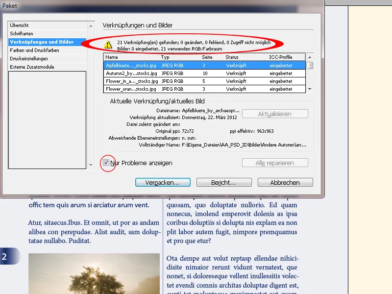 Preflightcheck, verknüpfte Schriften und Bilder prüfen, Farben kontrollieren, Dokument verpacken in InDesign