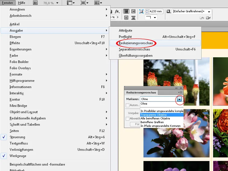 Softproof und Ausgabevorschau, Transparenzen reduzieren, Überdrucken-Vorschau in InDesign