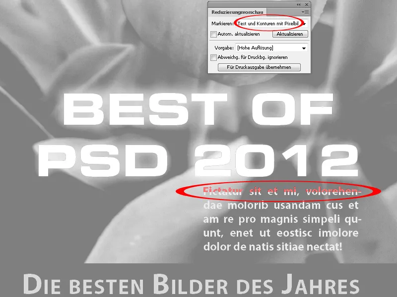 Softproof und Ausgabevorschau, Transparenzen reduzieren, Überdrucken-Vorschau in InDesign