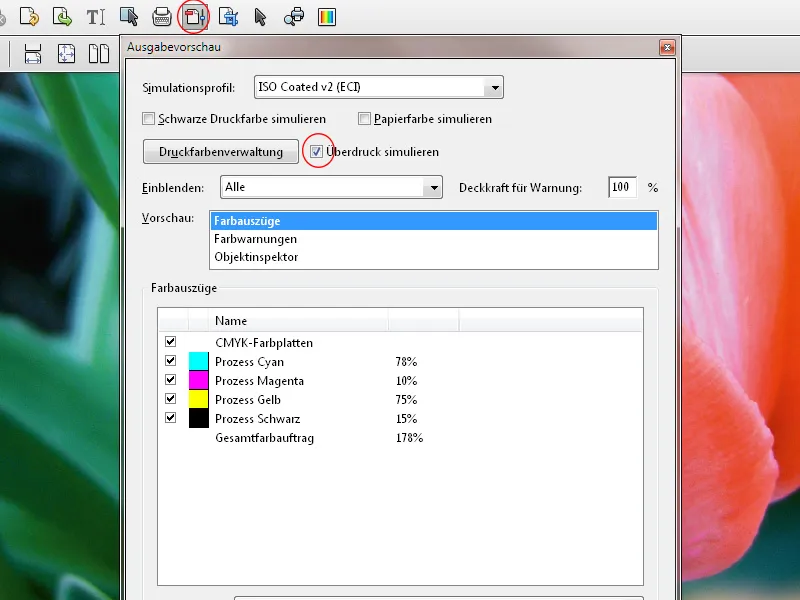 Pré-visualização de provas suaves e de saída, redução de transparências, pré-visualização de sobreimpressão no InDesign