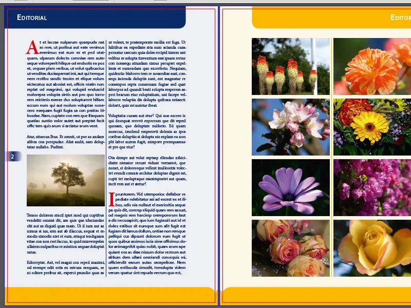 PDF-export i InDesign