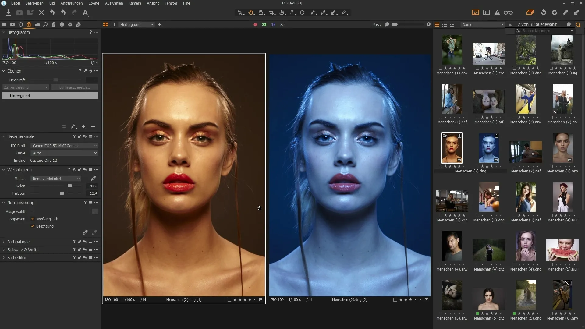Efektivní organizace obrázků v programu Capture One Pro Efektivní organizace obrázků v programu Capture One Pro
