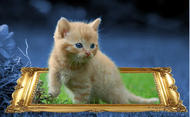 Out of border - Bild aus einem Rahmen herausspringen lassen