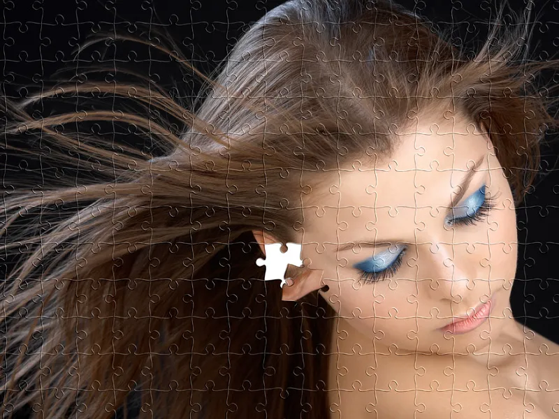 Puzzle aus Foto mit herausgenommenen Puzzleteilen in zwei Varianten