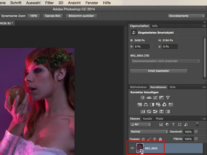 Looks & Styles with Photoshop - Looks in the raw converter