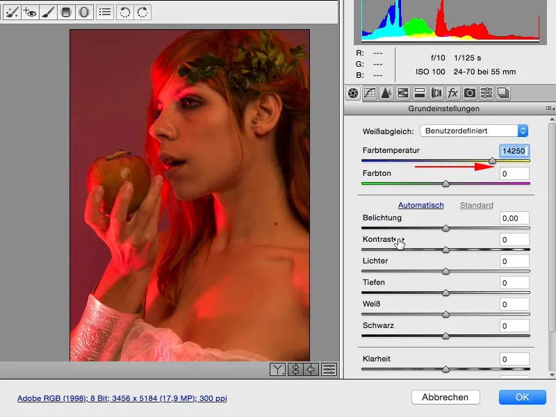 Vzhledy a styly v programu Photoshop - Vzhledy v programu Raw Converter