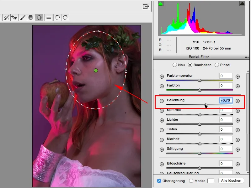 Looks & Styles with Photoshop - Looks in the raw converter