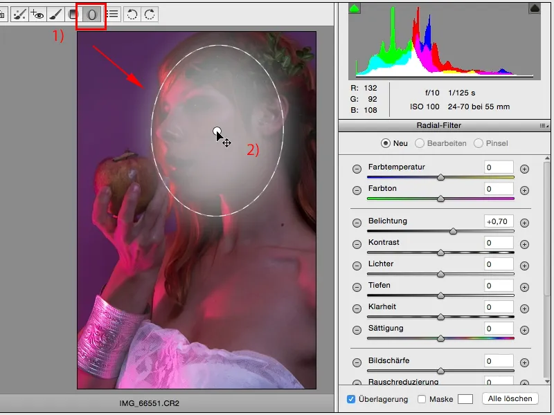 Looks & Styles with Photoshop - Looks in the raw converter