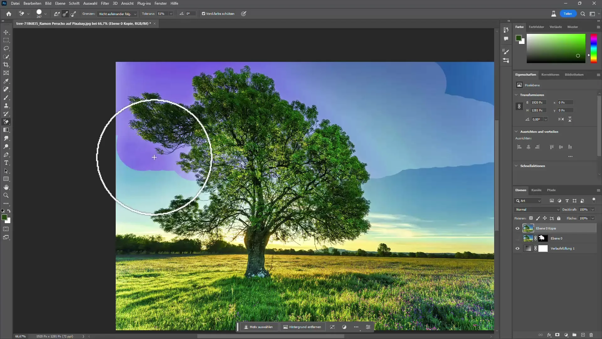 Détourer des arbres sur Photoshop avec et sans IA