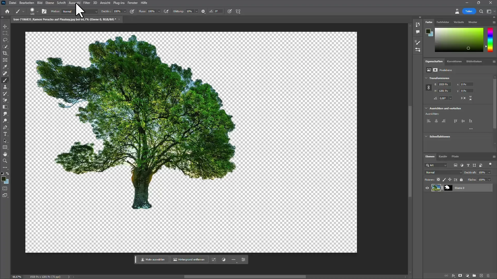 Détourage d'arbres dans Photoshop avec et sans IA