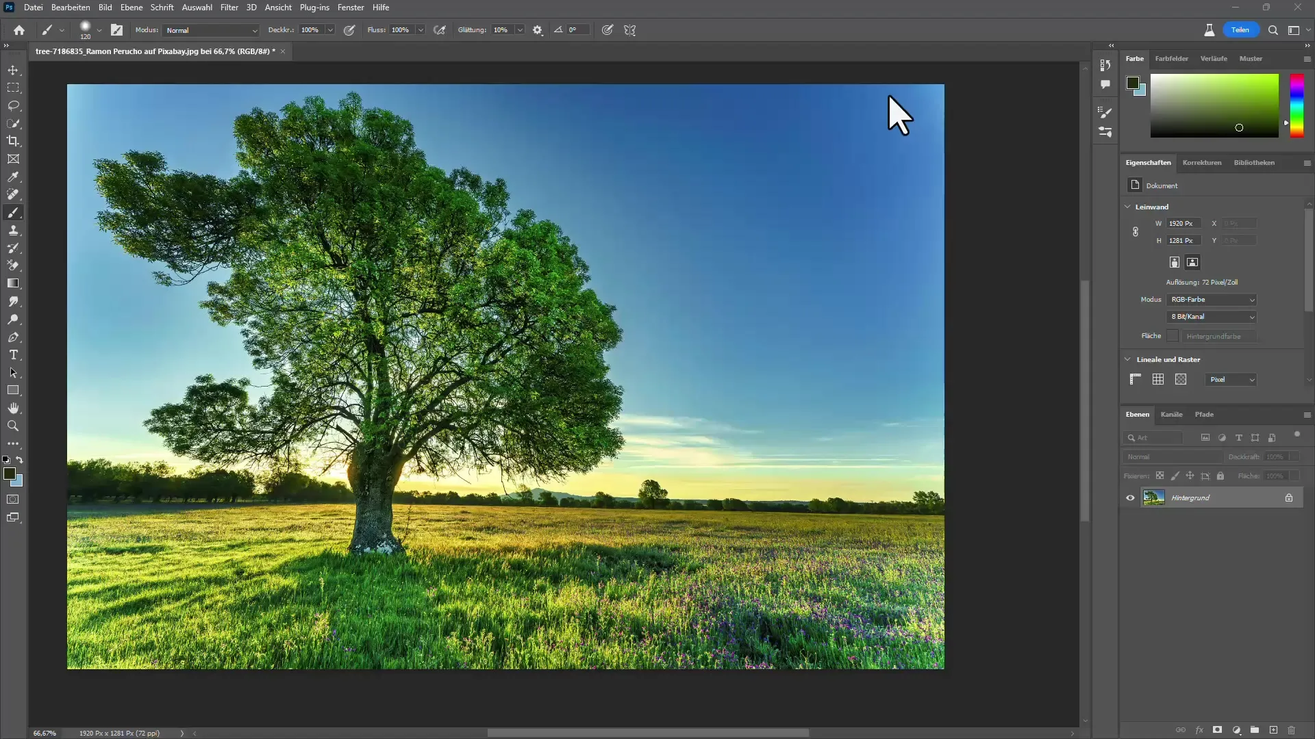 Détourage d'arbres dans Photoshop avec et sans IA