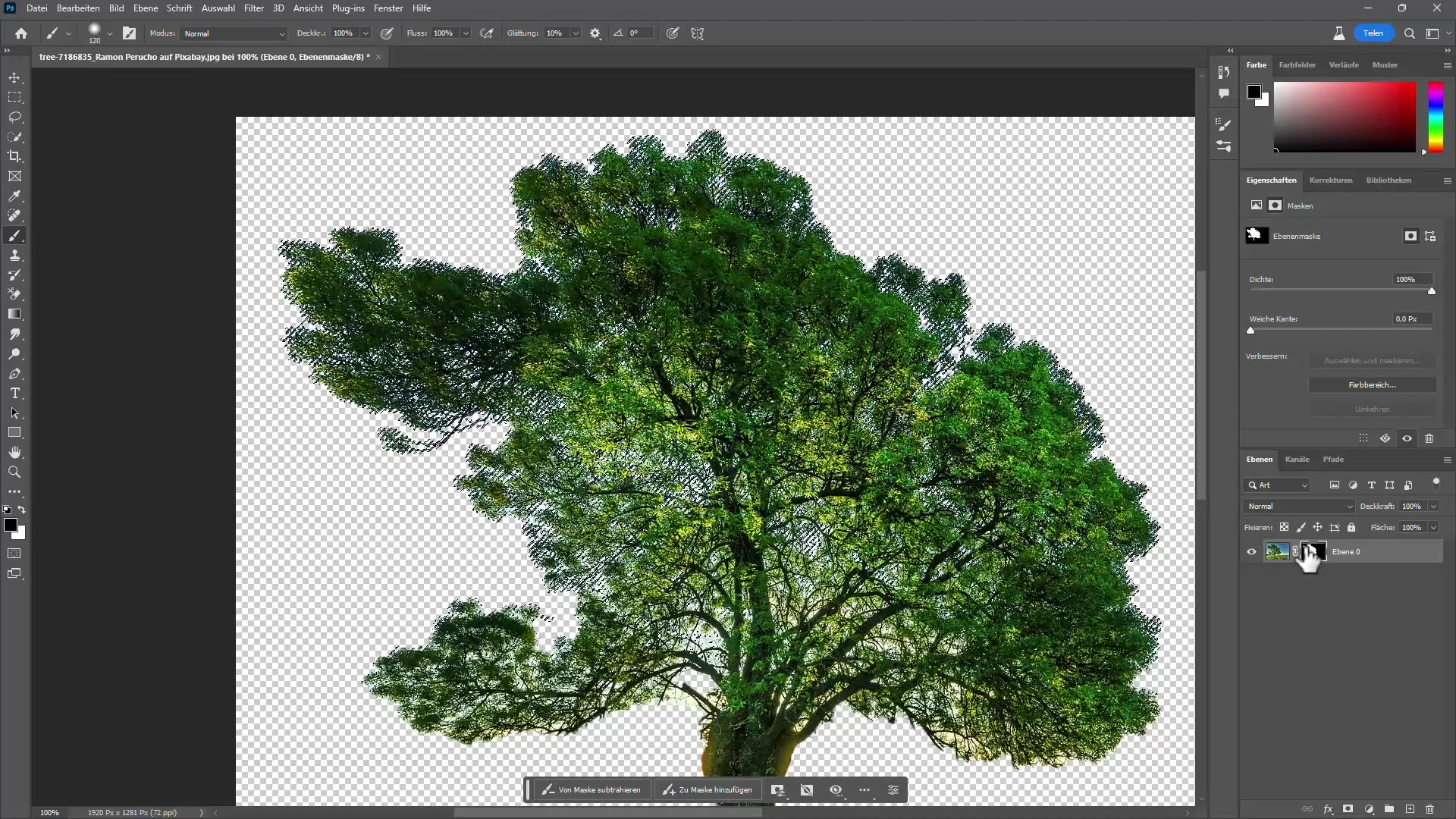 Détourage d'arbres dans Photoshop avec et sans IA