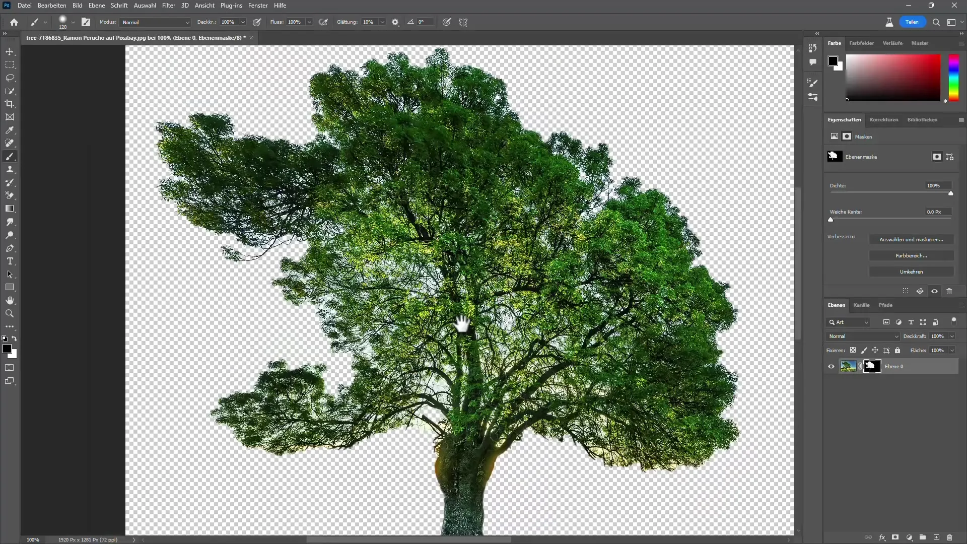 Détourer des arbres dans Photoshop avec et sans IA