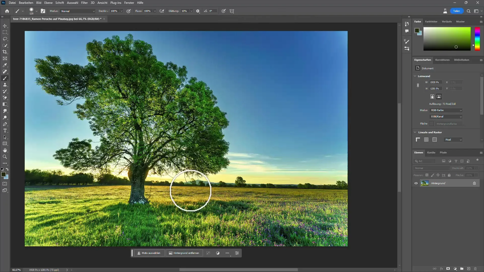 Détourer des arbres dans Photoshop avec et sans IA