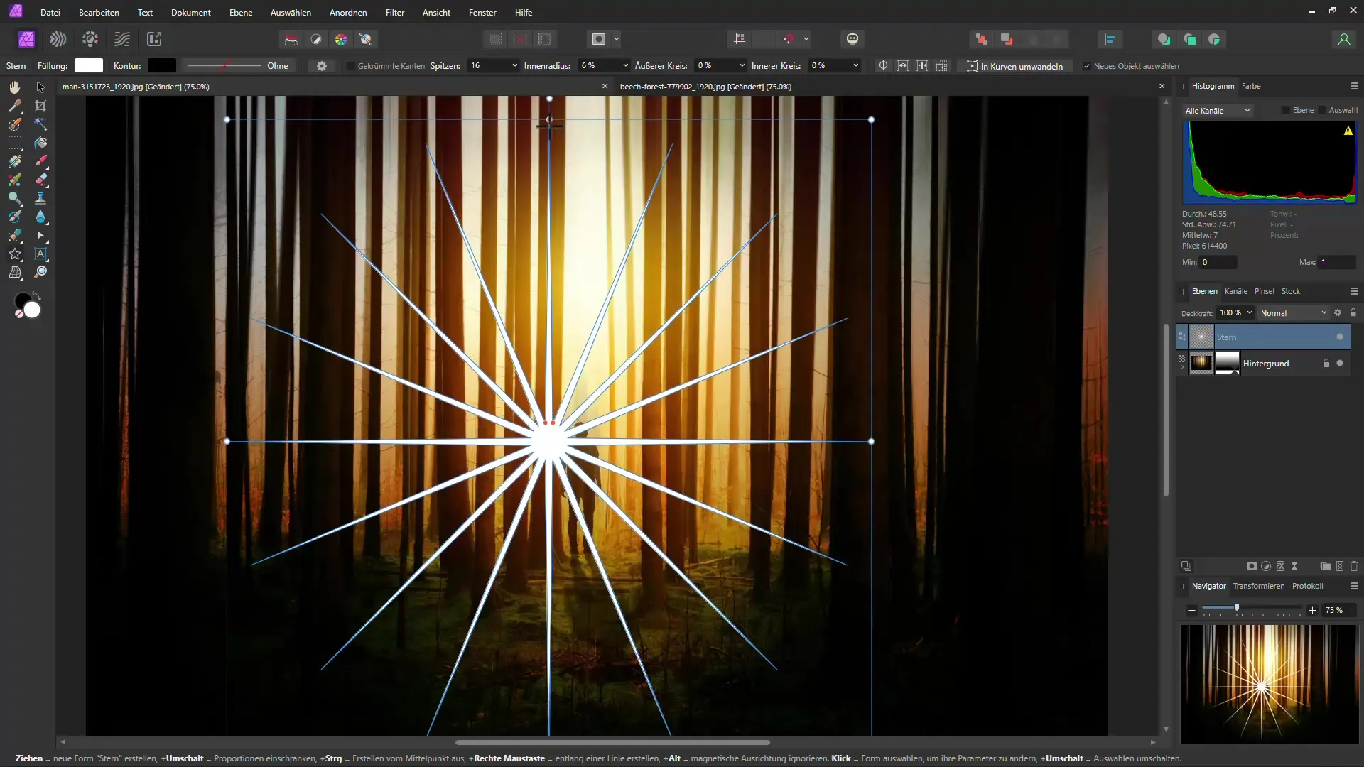 Efecto bosque místico con Affinity Photo - Instrucciones paso a paso