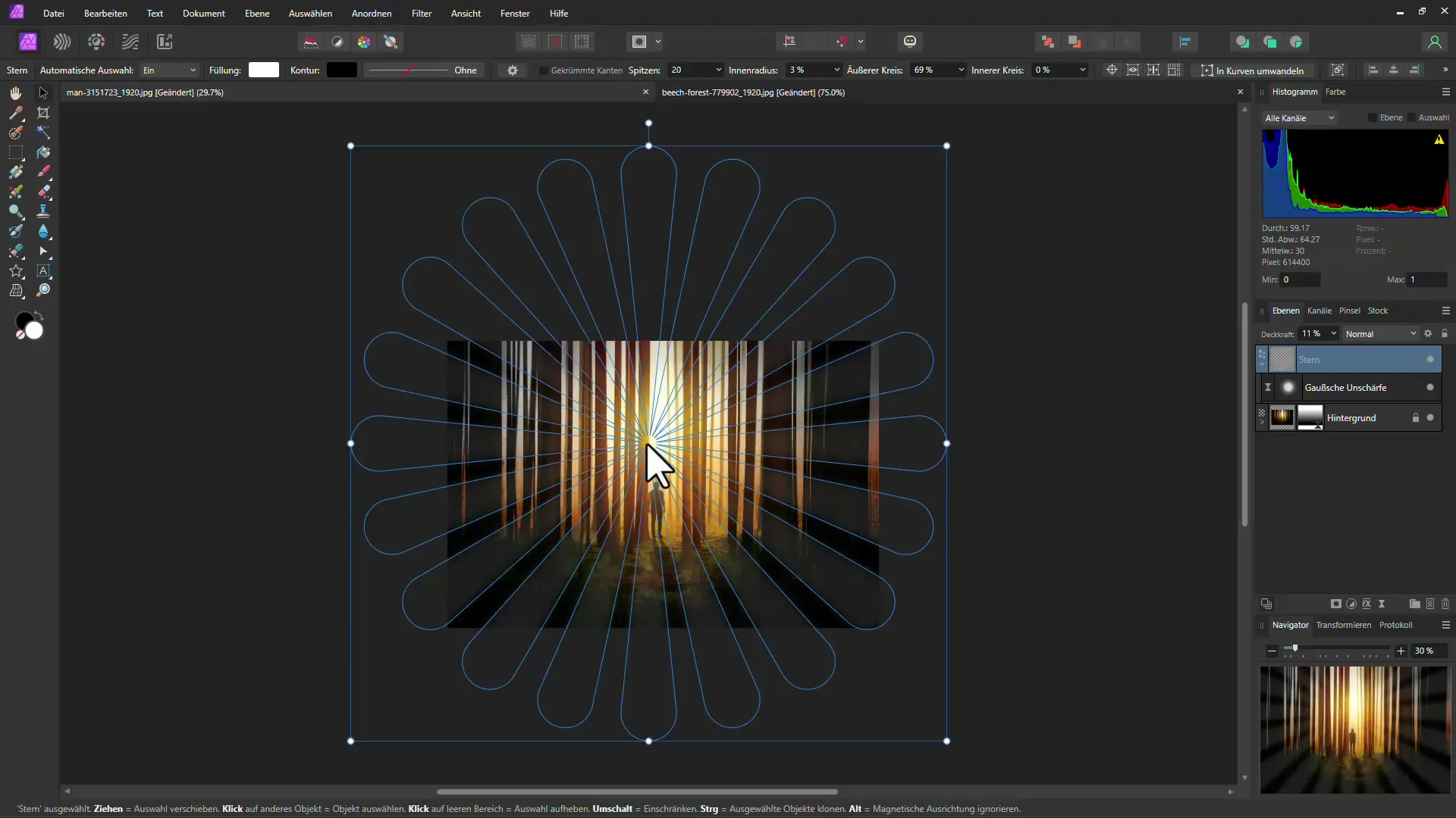 Mystiek bos-effect met Affinity Photo - Stap-voor-stap handleiding