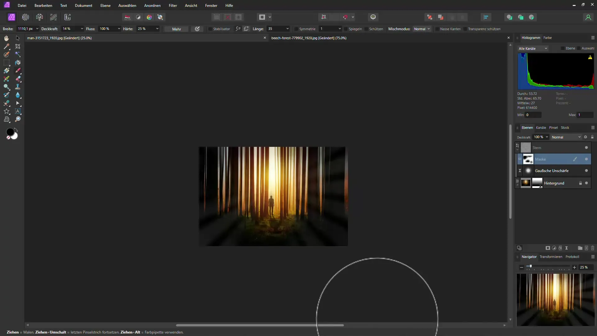 Mystiek bos-effect met Affinity Photo - Stap-voor-stap handleiding