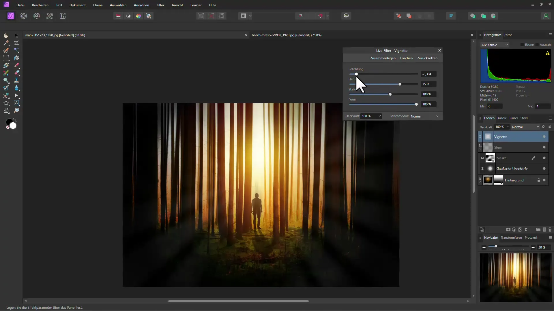 Mystisk skogeffekt med Affinity Photo - Trinn-for-trinn-guide