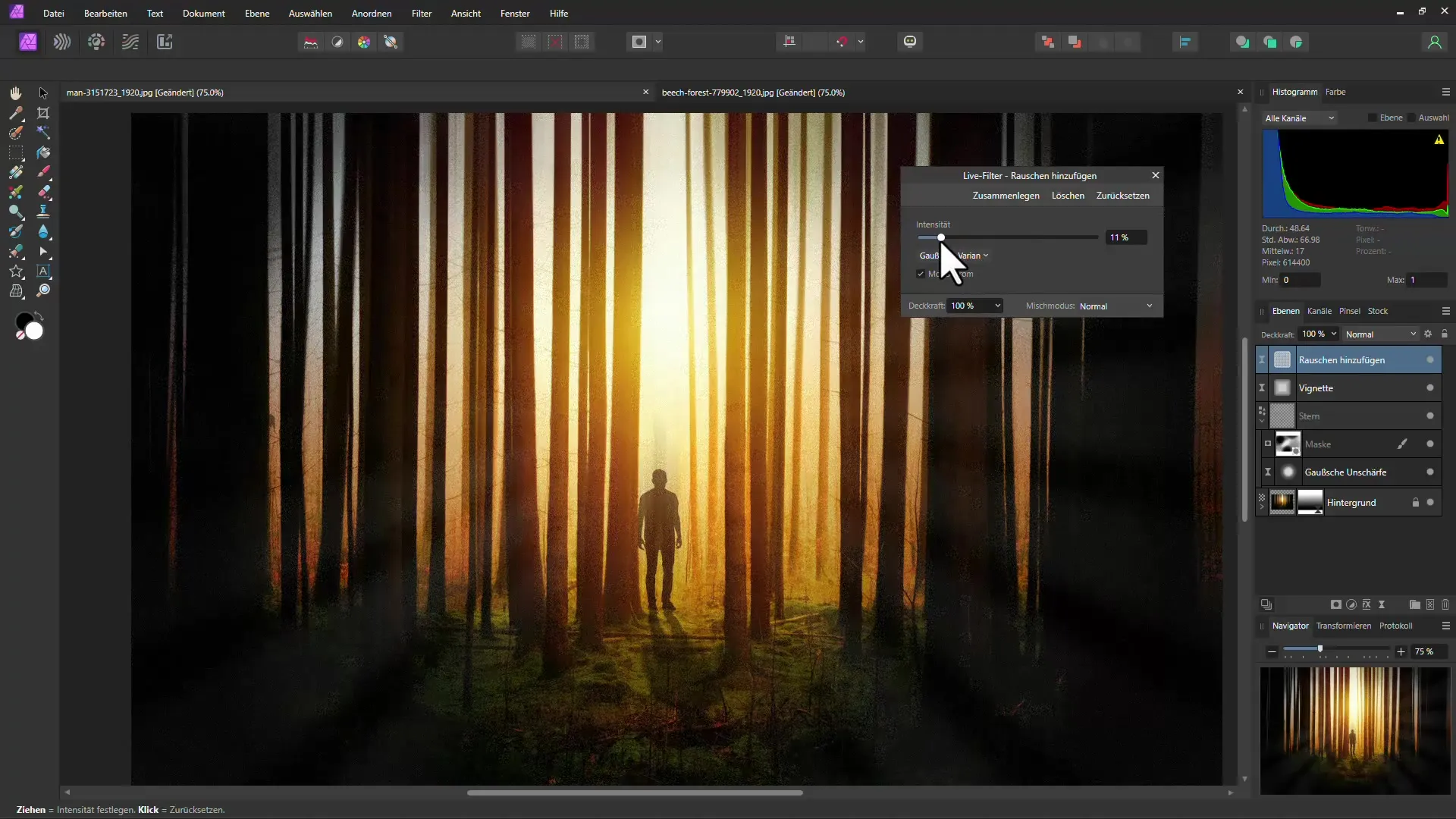 Efecto bosque misterioso con Affinity Photo - Guía paso a paso