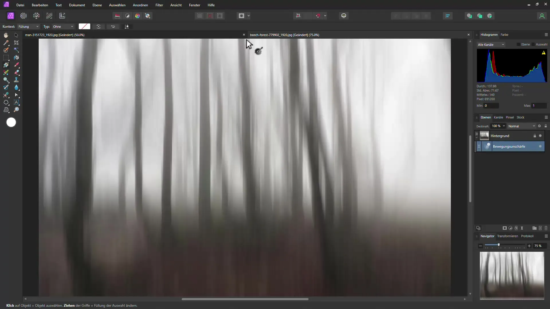 Mystisk skogeffekt med Affinity Photo - Trinn-for-trinn-veiledning