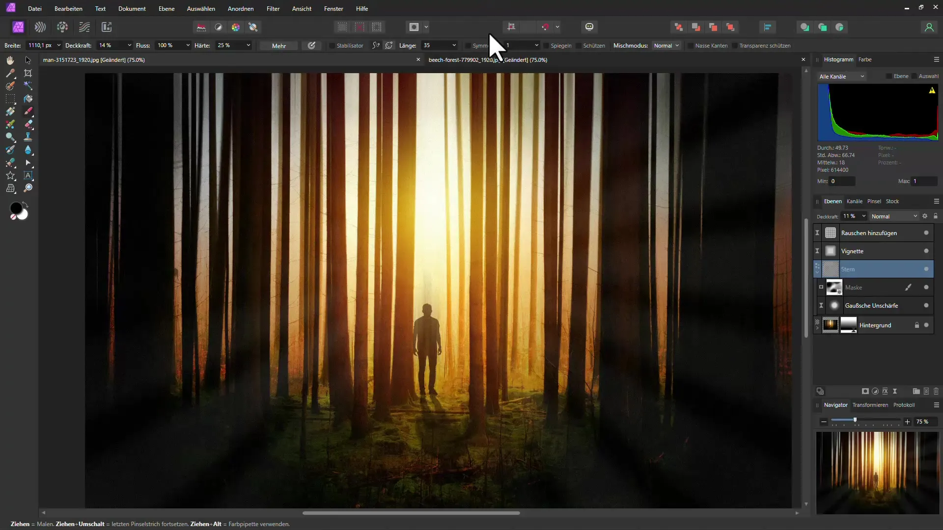 Mystisk skogeffekt med Affinity Photo - Trinn-for-trinn veiledning