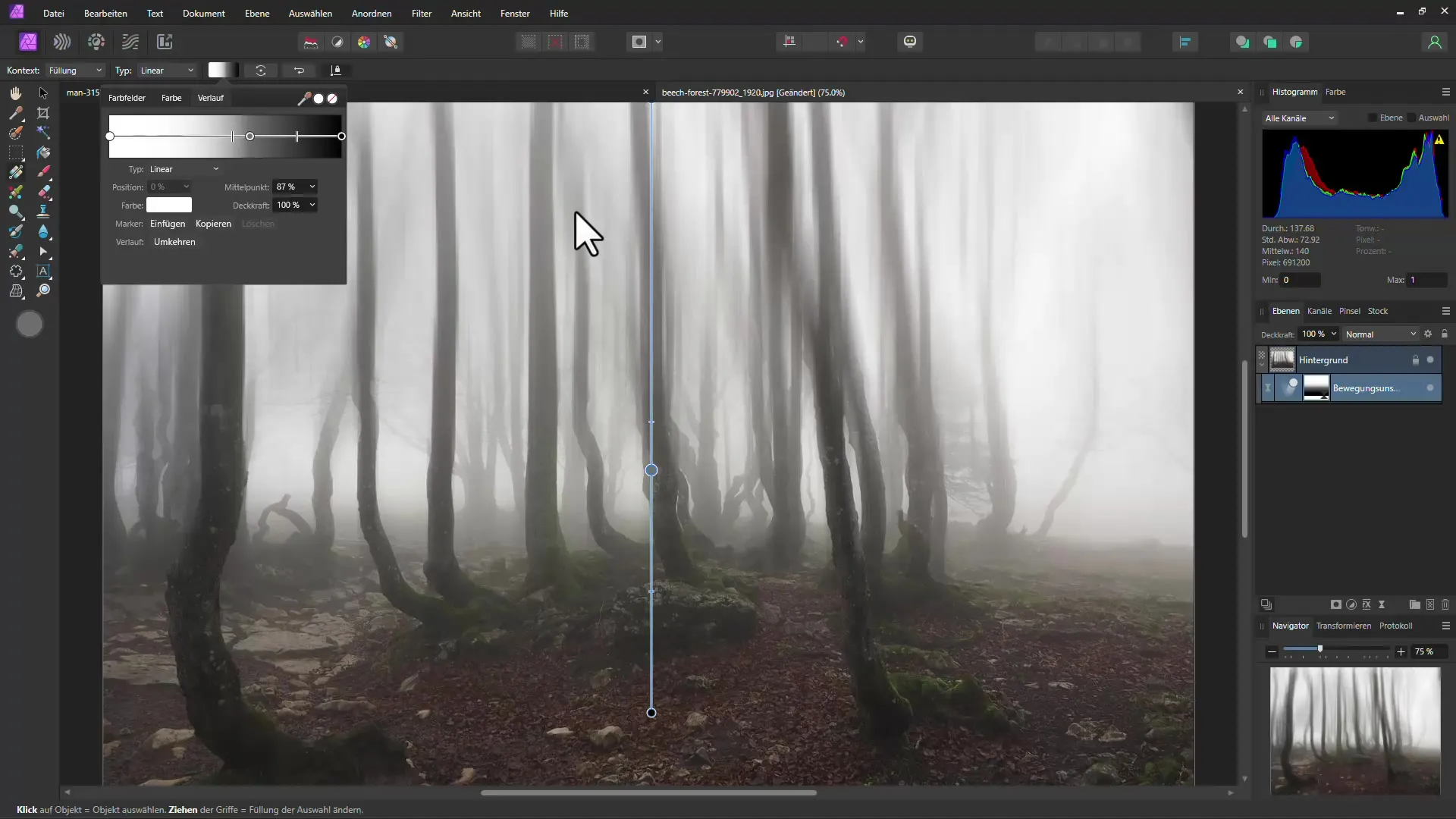 Efek Hutan Mistis dengan Affinity Photo - Panduan Langkah demi Langkah