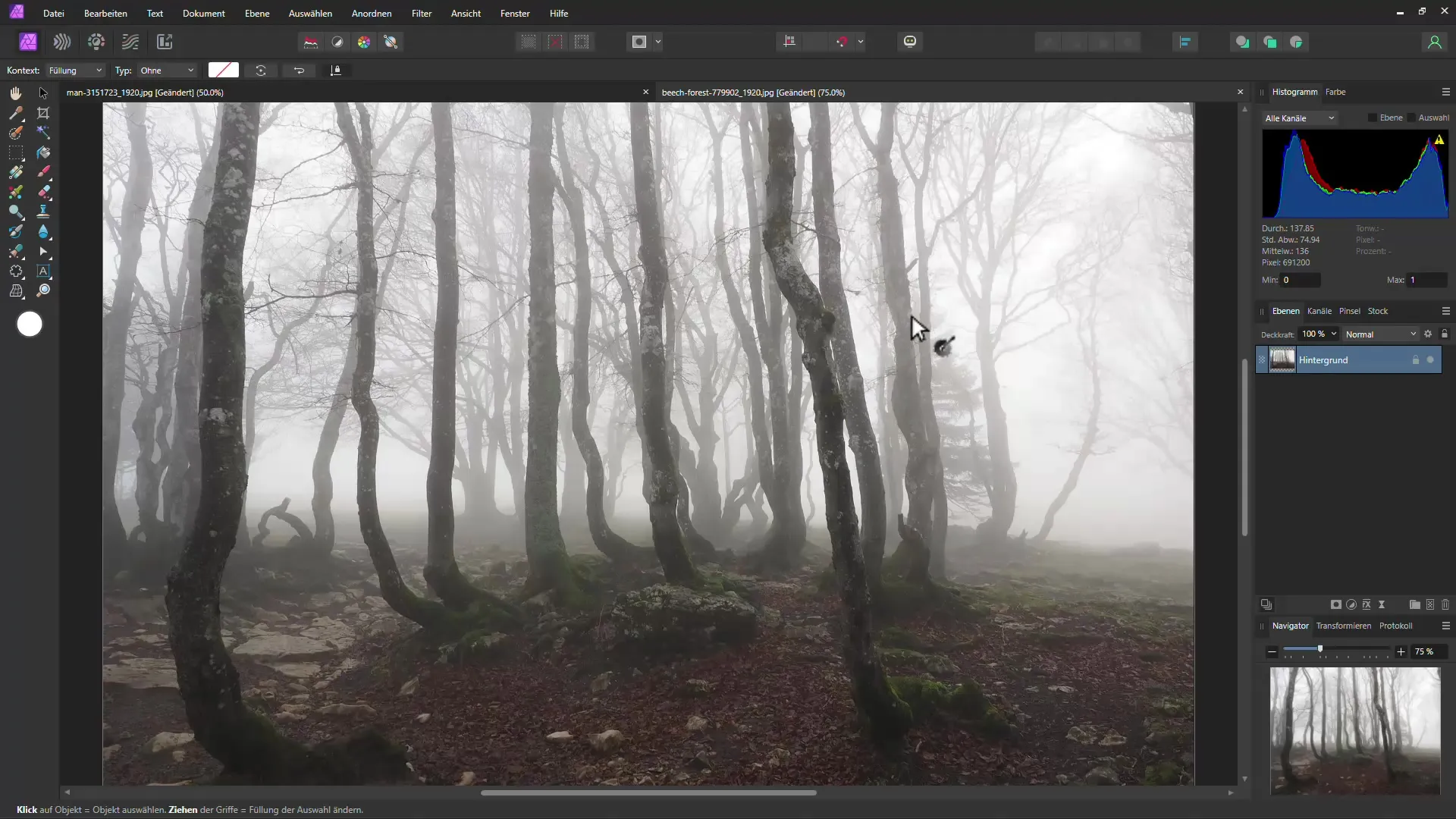 Efecto de bosque místico con Affinity Photo - Guía paso a paso