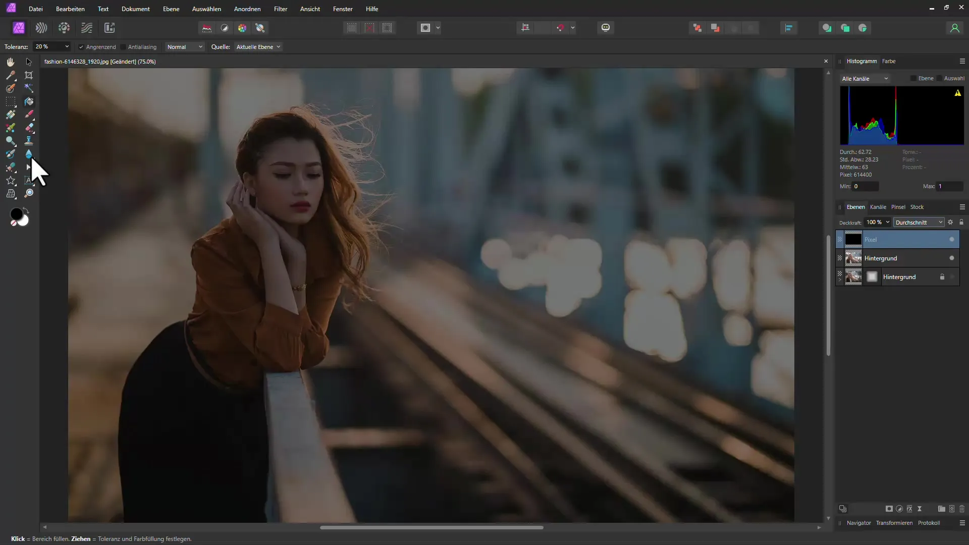 Affinity Photo: Aggiungere intelligentemente una vignetta - Guida passo dopo passo