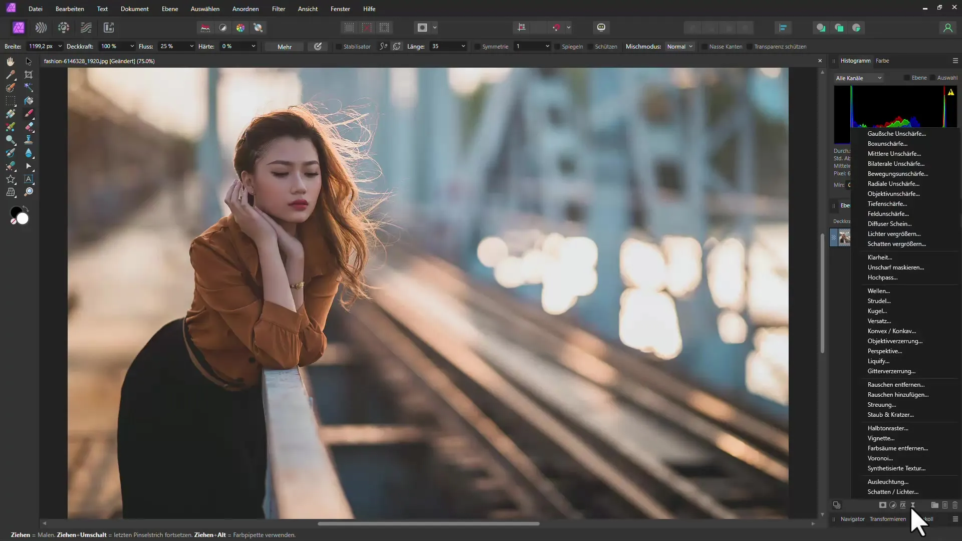 Affinity Photo: Add Vignette cleverly - Step-by-step guide