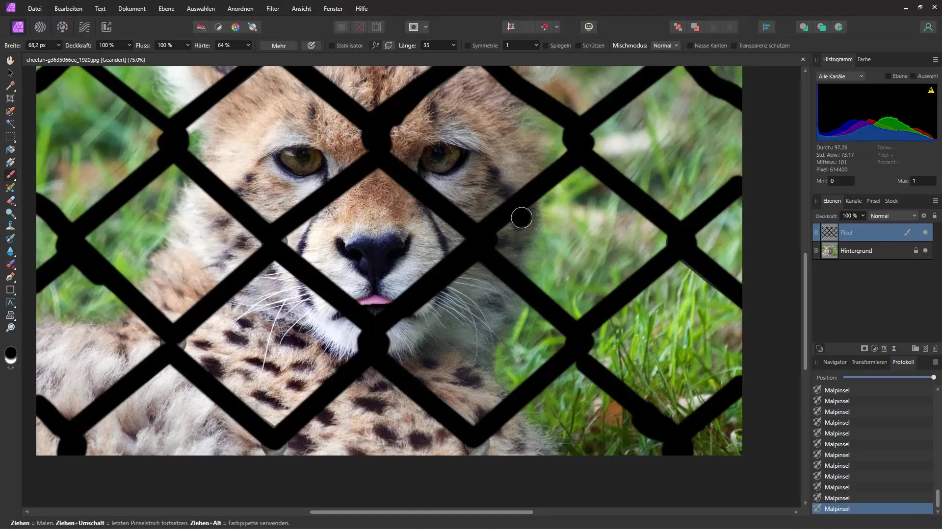 Remove objects like grids quickly and easily – A step-by-step guide for Affinity Photo