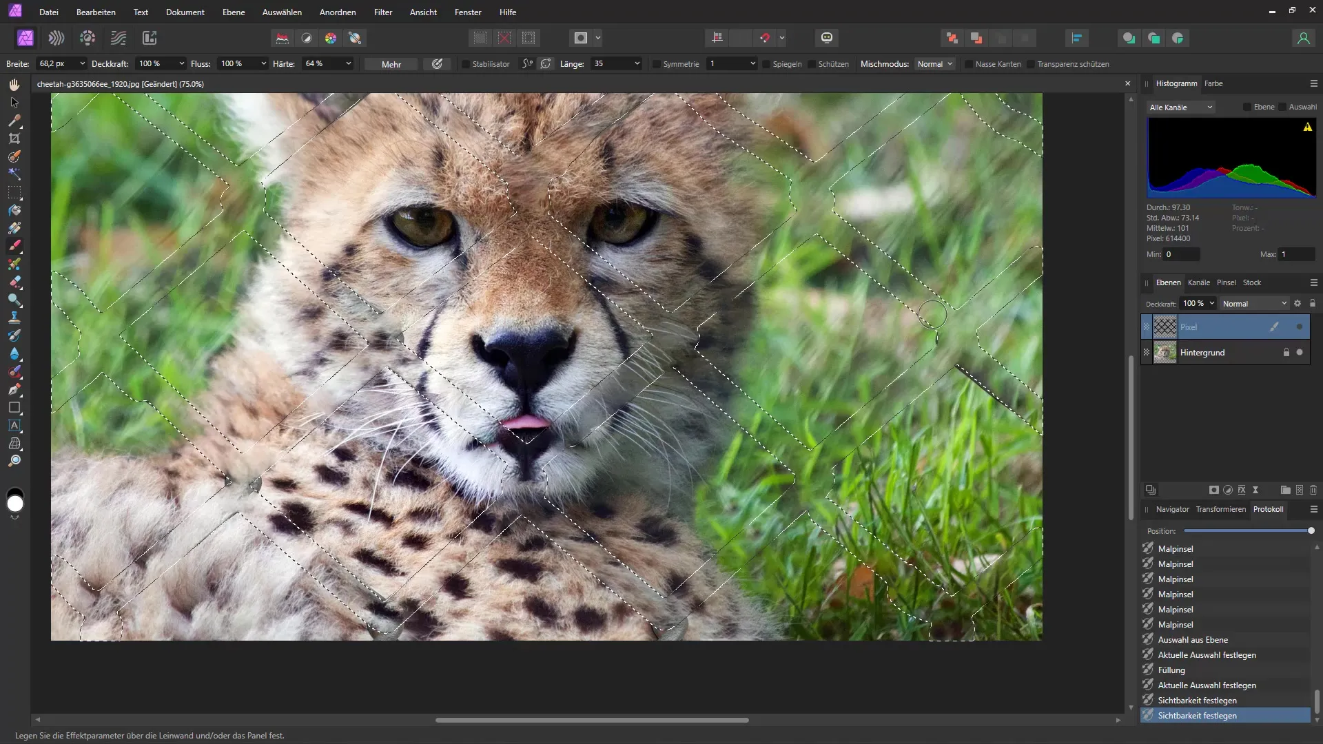 Remove objects like grids quickly and easily - A step-by-step guide for Affinity Photo