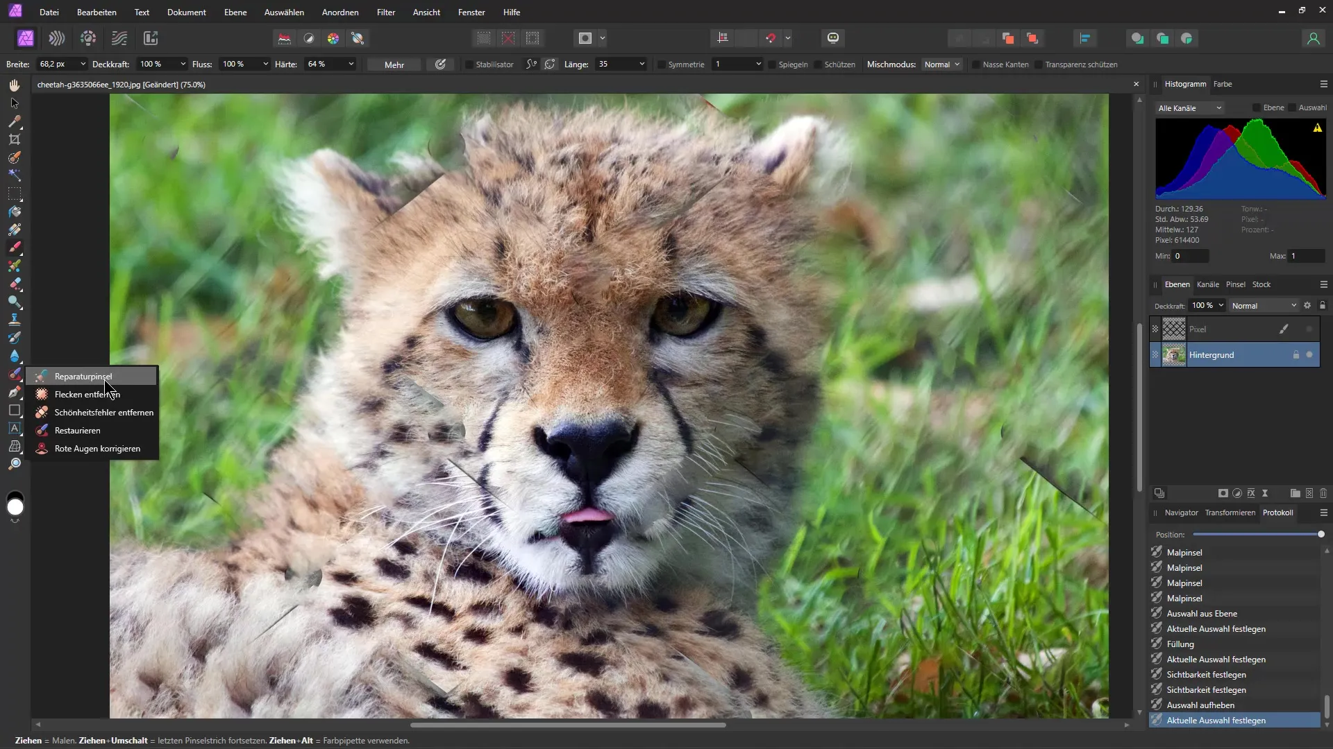 Remove objects like grids quickly and easily - A step-by-step guide for Affinity Photo