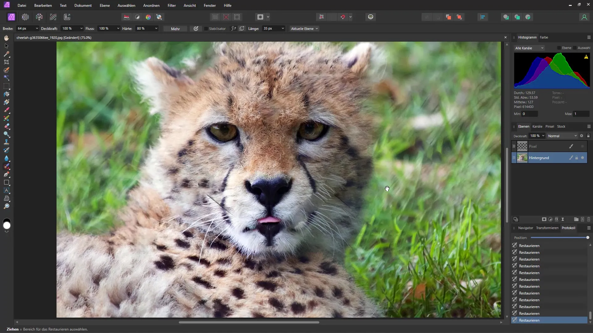 Remove objects like grids quickly and easily - A step-by-step guide for Affinity Photo